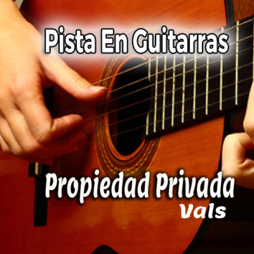 01 Propiedad Privada - guitarras