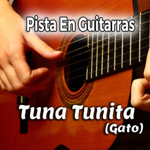 01 TUna Tunita - guitarras