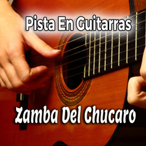 01 chucaro - guitarras